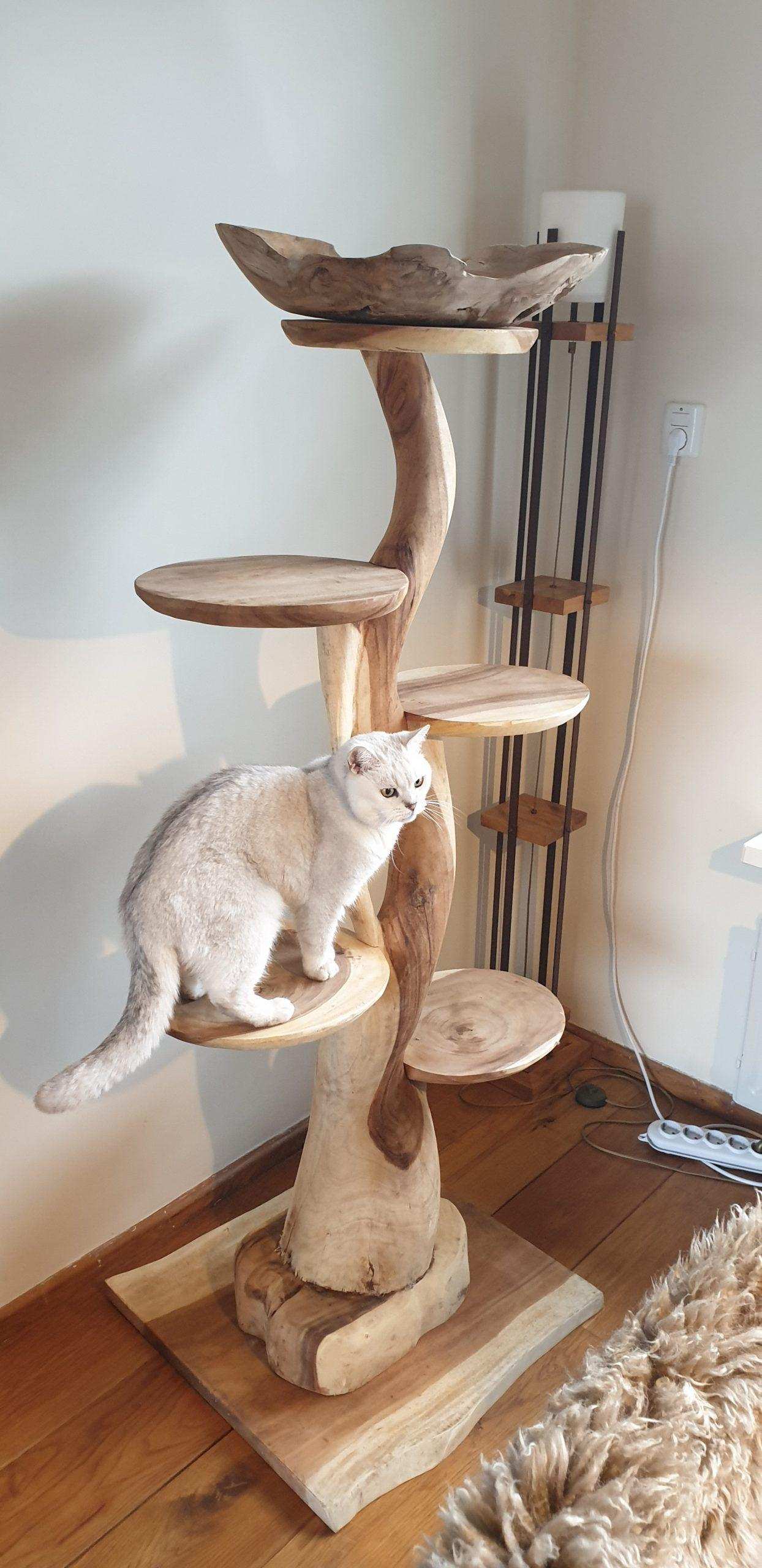 Afgekeurd Onschuld Zenuwinzinking Klim- en krabpaal suar hout XXL Big Cat editie 150 cm - SDB Living