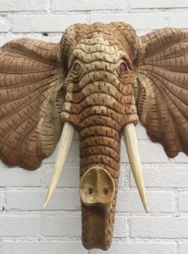 Wanddecoratie olifantenkop suar hout