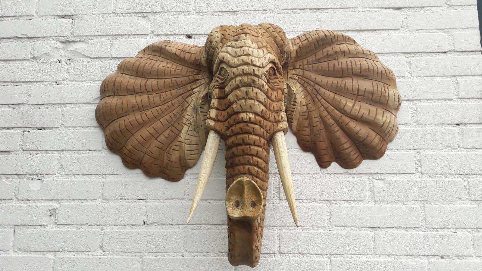 Wanddecoratie olifantenkop suar hout