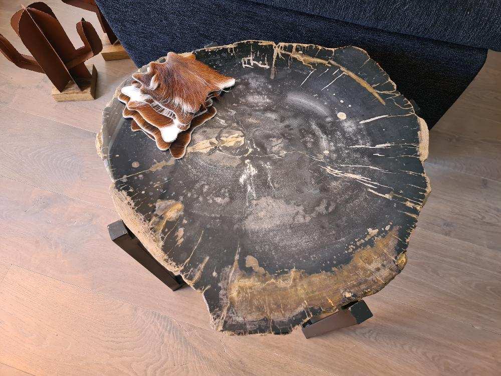 Versteend hout tafel 50 cm
