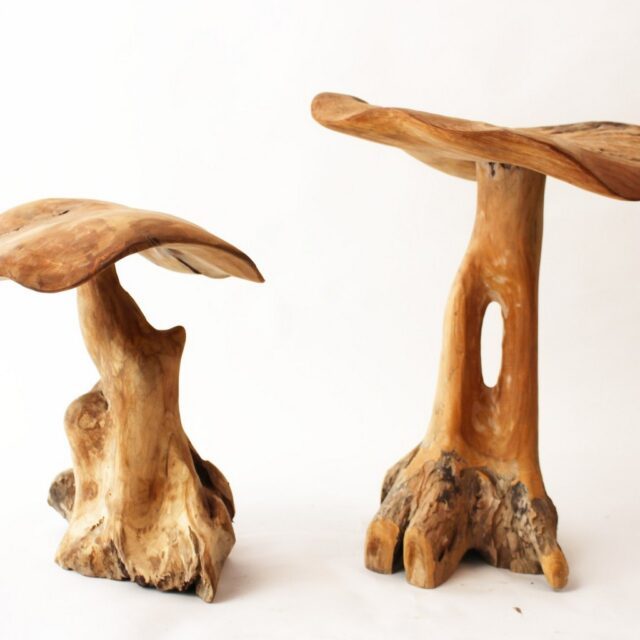 Teak paddenstoelen decoratie 60 cm